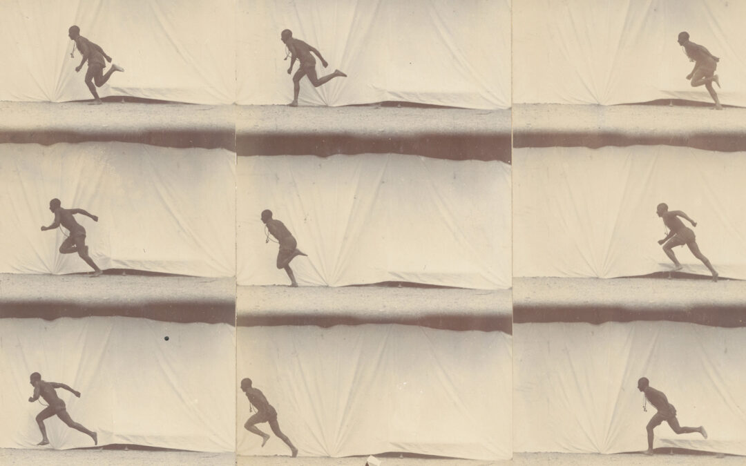 Exposition « Étienne-Jules Marey : chronophotographie, sciences et arts » du 6 novembre au 18 février